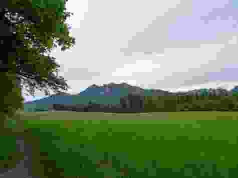 Unterwegs auf einem Naturpfad mit Blick auf die Freiburger Voralpen