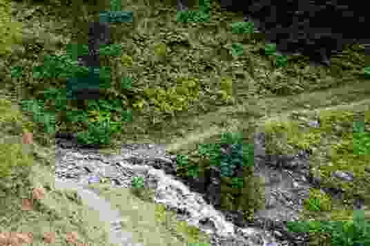 Der Weg führt abwechselnd durch Nadelwälder, an abfallenden Weiden entlang und an reissenden Gebirgsbächen vorbei.