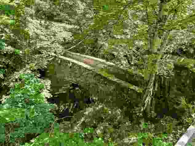L’antico ponte in pietra che attraversa la Rovana di Campo.