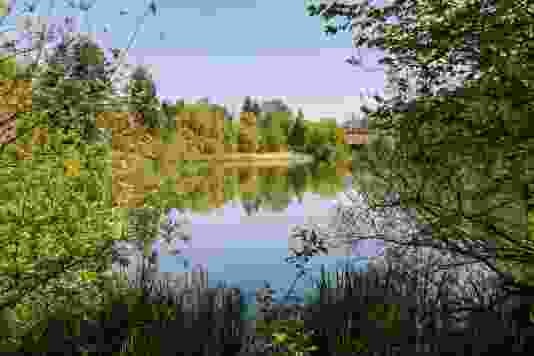 Der Egelsee: ein Naherholungsgebiet für die Stadtberner und -bernerinnen.