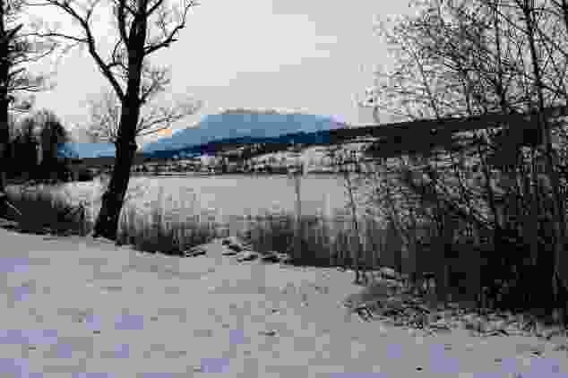 Die Wanderung entlang vom Baldeggersee profitiert vom milden Seeklima.