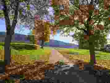 Im Herbst begleiten farbige Laubbäume die Wanderung.