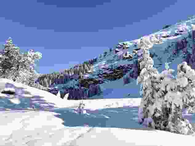 Verschneites Hochmoor auf der Mettmenalp.