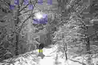 Nach der Talsohle geht es durch den Wald hinauf.