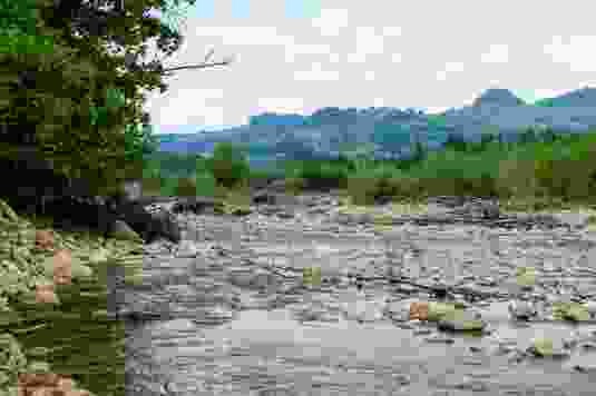 Aventure au bord de la Singine sauvage