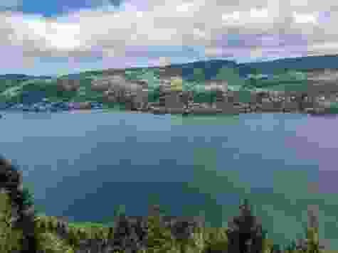 Vom Ägerisee hinauf zu den Hochmooren