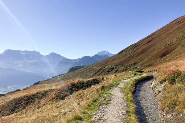 Bisse et vue panoramique au Foggenhorn
