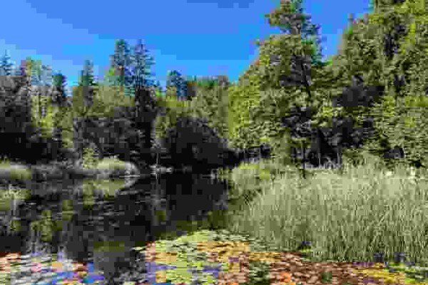 Chäsmärt Sarnen
