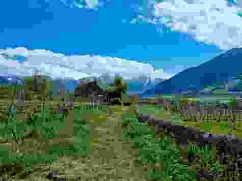 Passeggiata tra vigneti e castelli attraverso la Signoria Grigionese