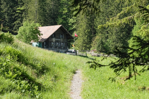 Des orchidées sur le chemin du Wildspitz