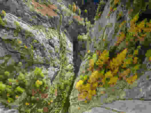 Suonenwanderung im Unterwallis
