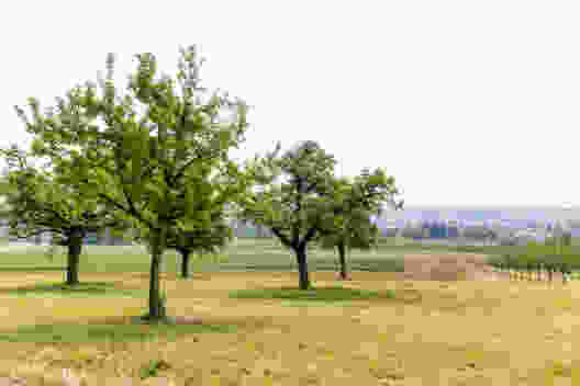 Escursione floreale al lago di Costanza