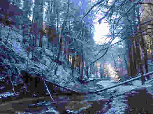 Winterlicher Schwarzwassergraben