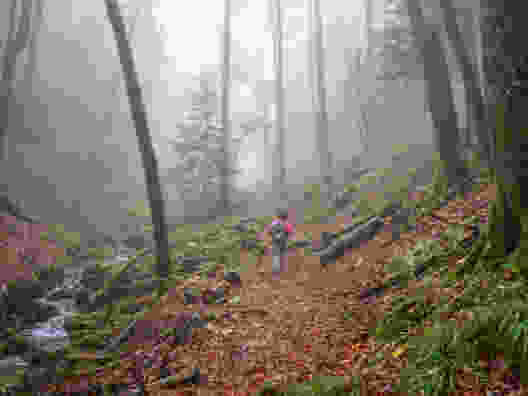 Durch die Wolfsschlucht im Naturpark Thal