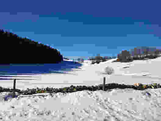Se perdre dans les Franches Montagnes