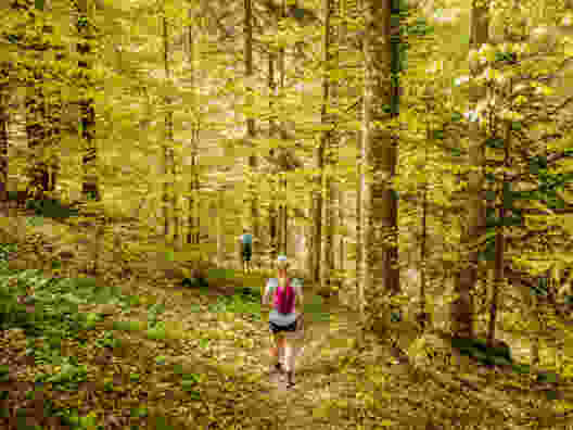 Feld, Wald und Wiese im Entlebuch