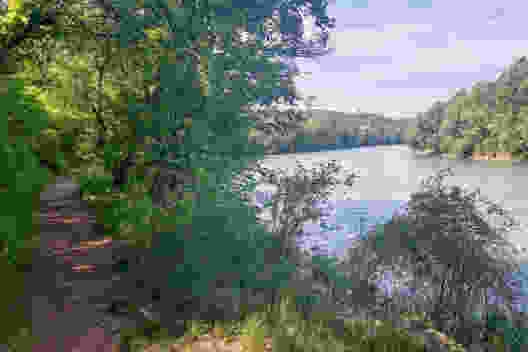 Faune et flore d’exception sur la rive du Rhône