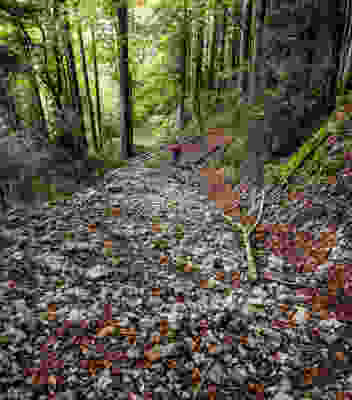 Impressionen in den Freibergen