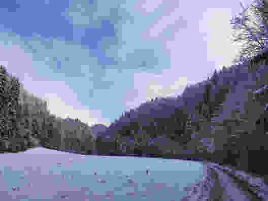 Dans les gorges de la Schwarzwasser