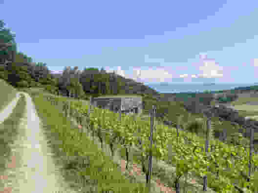 Par des chemins sinueux