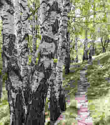 Im Tal des Vedeggio nach Tesserete
