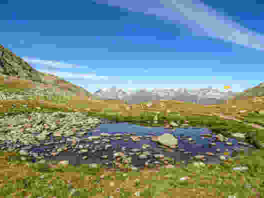 Im Reich von Alpenmohn und Steinbock