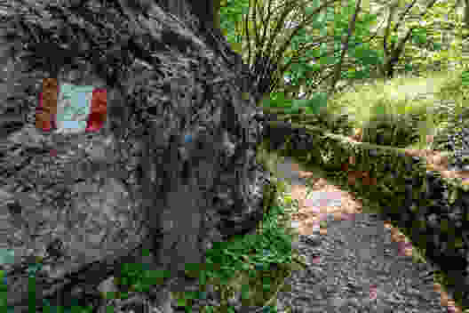 Salire alle Cave di Arzo
