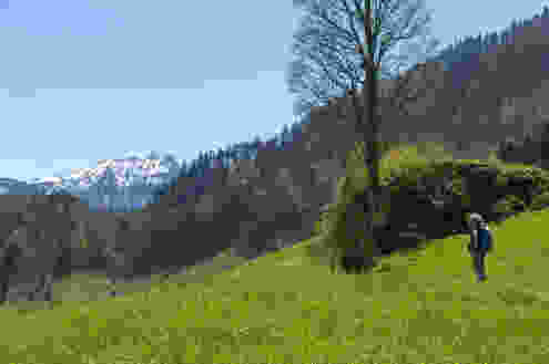 Über den Lopper zum Renggpass