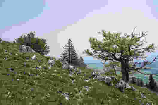 Sur le Chasseral par la Combe Grède
