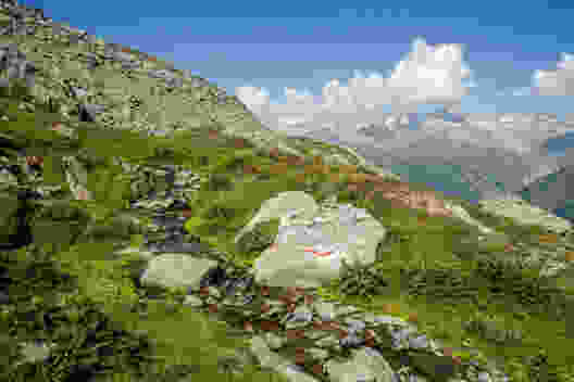 Aussichtsgipfel über dem Goms