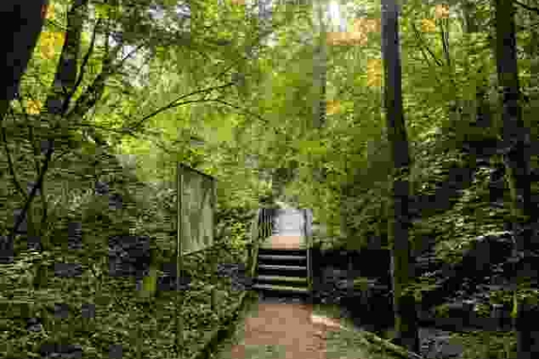 Côté nature et côté ville