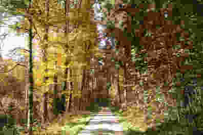 Wanderung zur Buchegger Kyburg