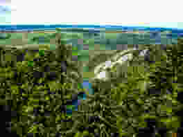Entre forêts et pâturages