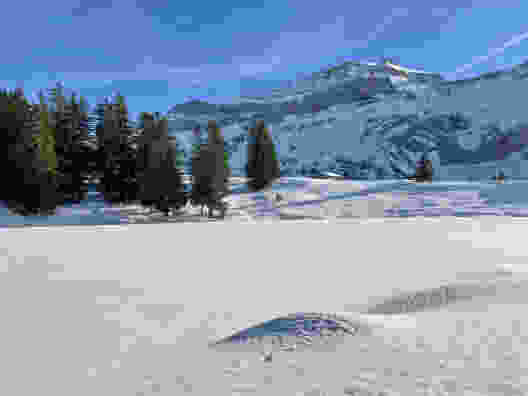Winteridylle am Col du Pillon