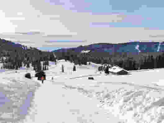 Weisse Weiden im Waadtländer Jura