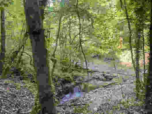 Par des chemins sinueux