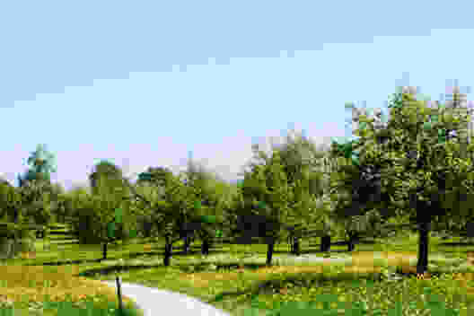 Via dalla città