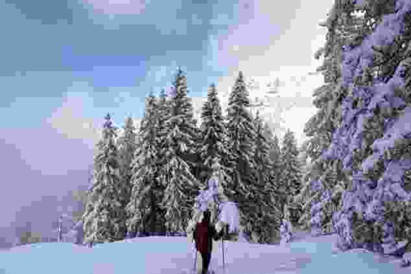 Leichte Schneeschuhwanderung durchs Wildschutzgebiet