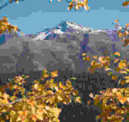 Aussichtstour auf die Wiesner Alp