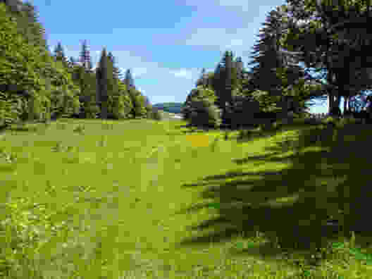 Aventure au sommet dans le Jura vaudois
