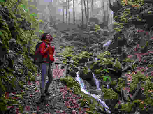 La Wolfsschlucht et le parc naturel de Thal