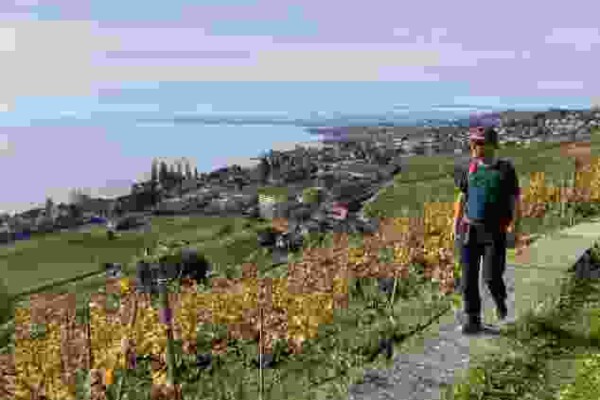 Étendue inspirante du lac Léman