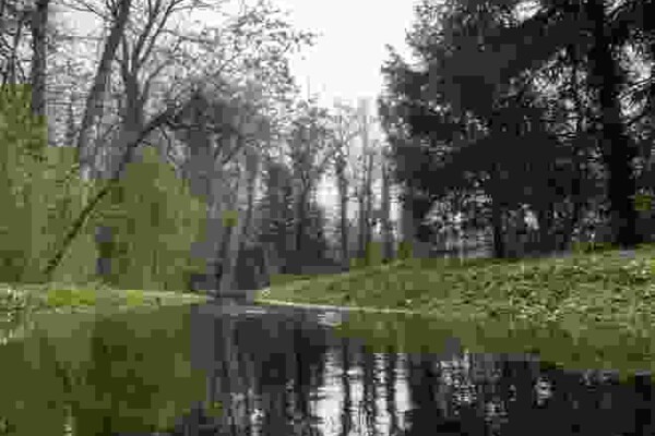 Wasser und Salz