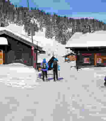 Waadtländer Bergwinter