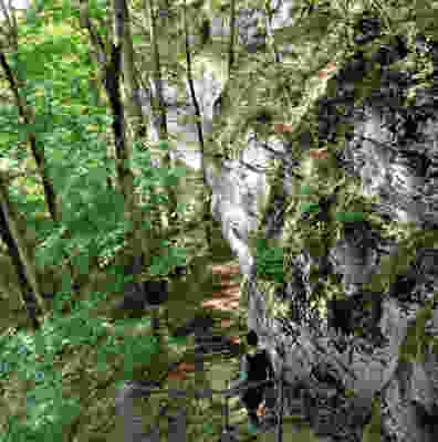 Les hauts du Jura, un paysage varié