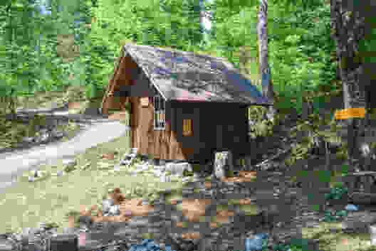 Versinken im riesigen Risoux-Wald