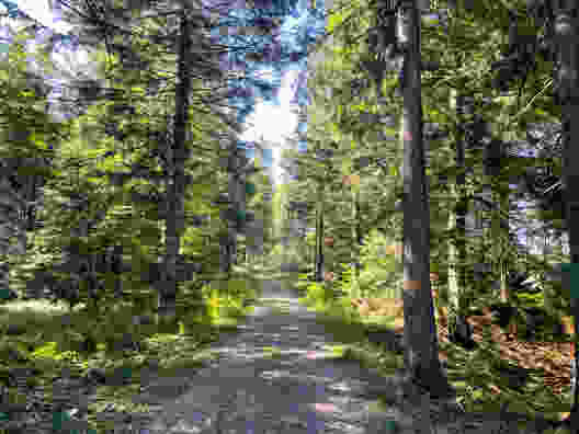 Durchs grüne Appenzellerland