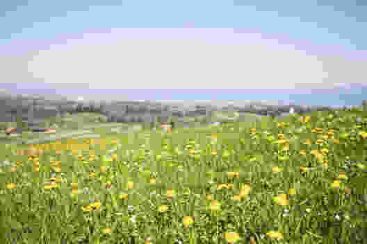 Unterwegs zwischen Bodensee und Säntis