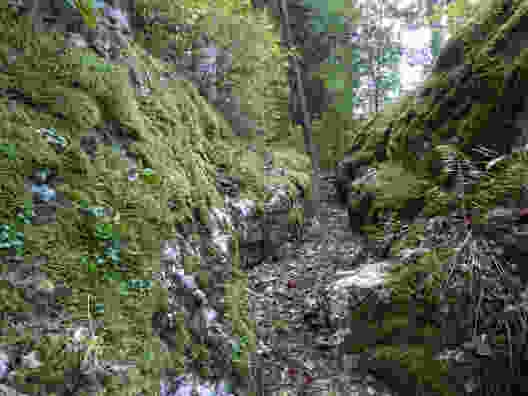 Auf den Spuren von «Lothar» im Val de Travers