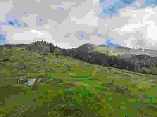 Dans la région de l’éboulement de Goldau